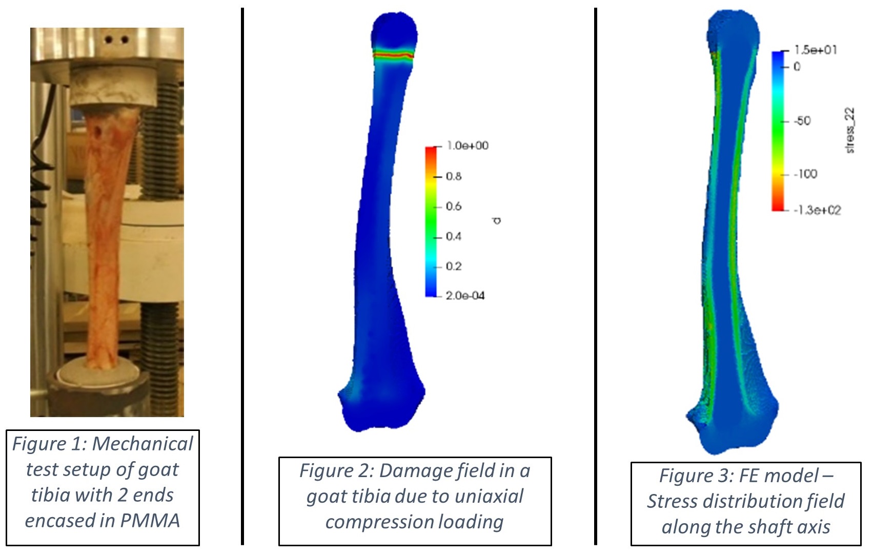 Emerging Areas in Computational Modeling - Computational Laboratory for ...